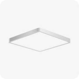 Light - Ceiling Lights Replace/ Install