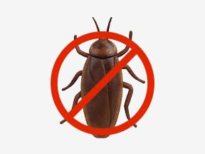 Pest Control