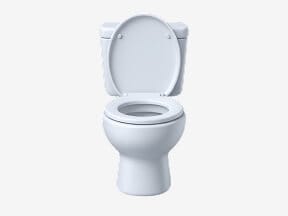Bathroom Cleaning