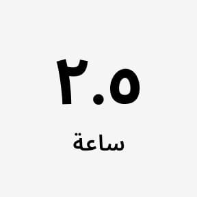 عدد الزيارات