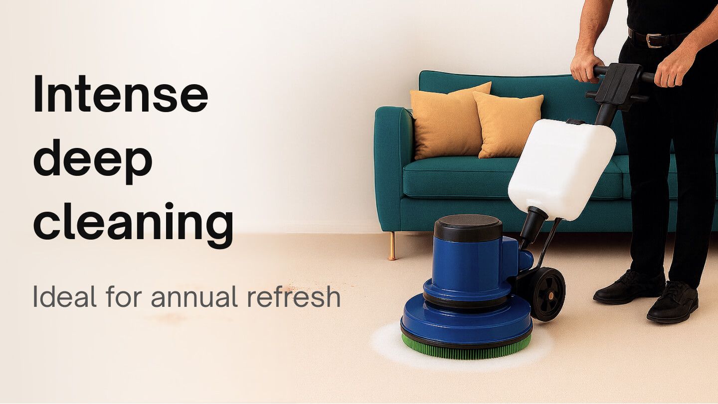Furnished Apartment - Apartment deep cleaning intense 
