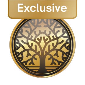 Forest Essentials facial