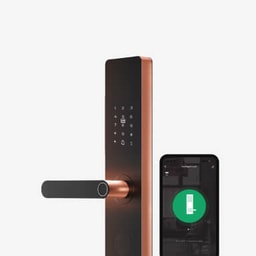 Feature lock - Native L1 Lock