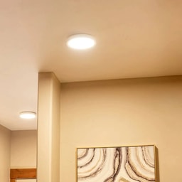 Bulb & tubelights - #groot Warm white ceiling bulb installation??::source=customer-pre-request-service&&& groot#
