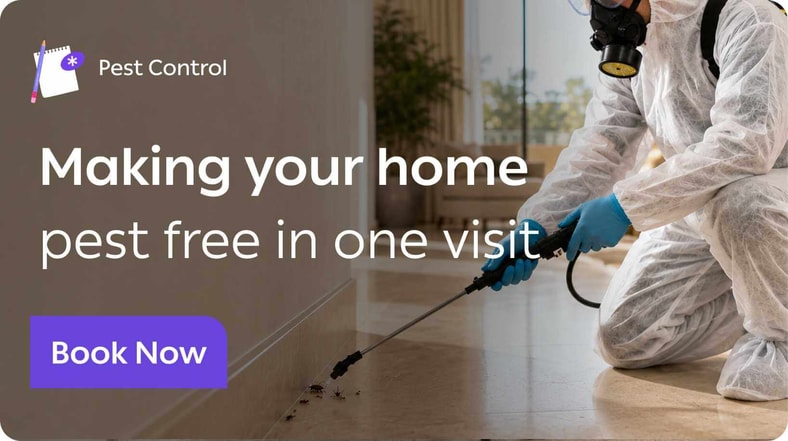 Cockroach Control