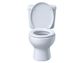 Bathroom & Kitchen Cleaning