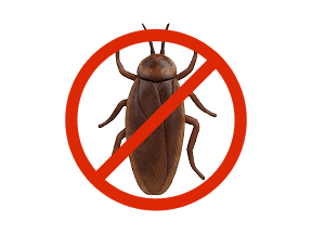 Pest Control