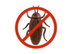 Pest Control