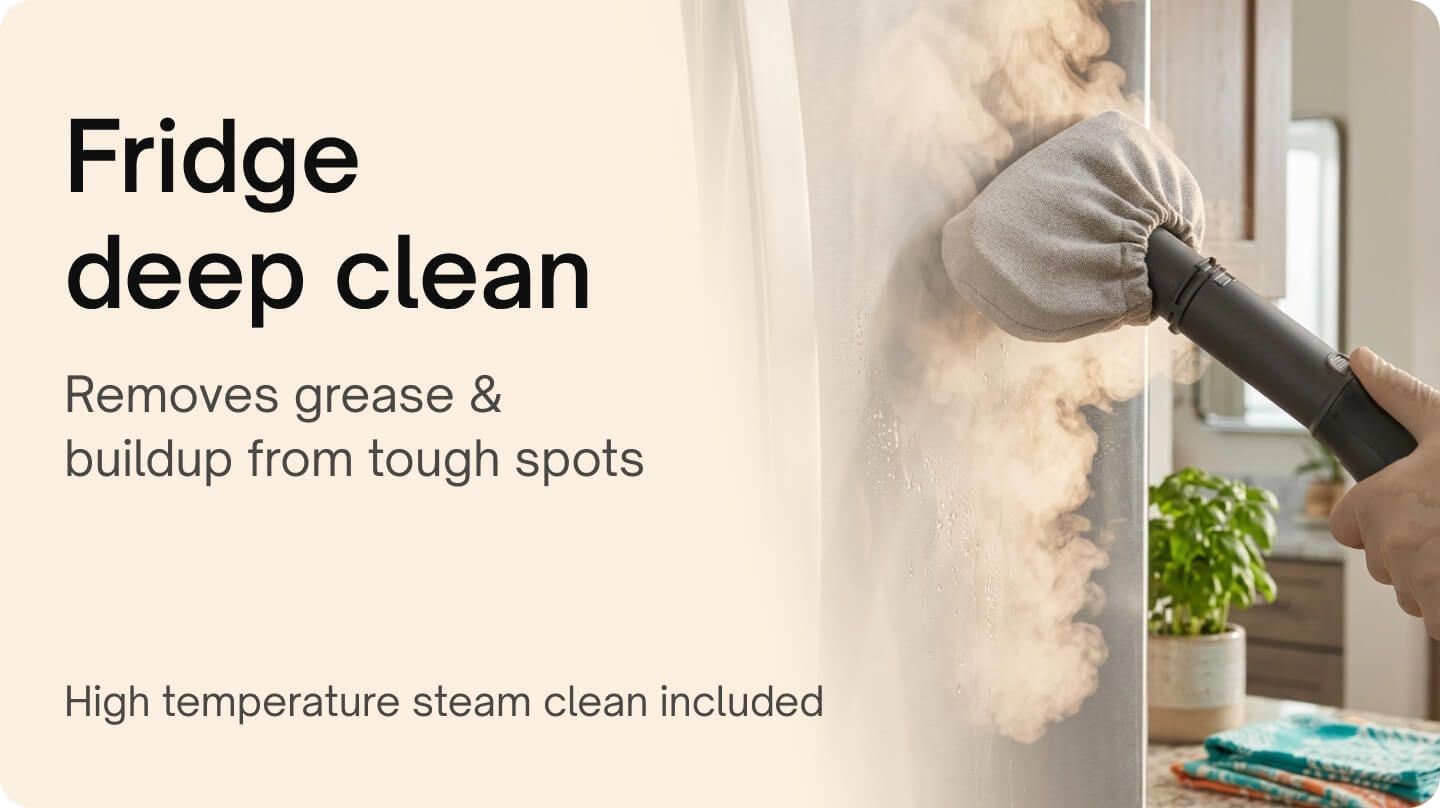 Appliance cleaning - Fridge Deep Cleaning