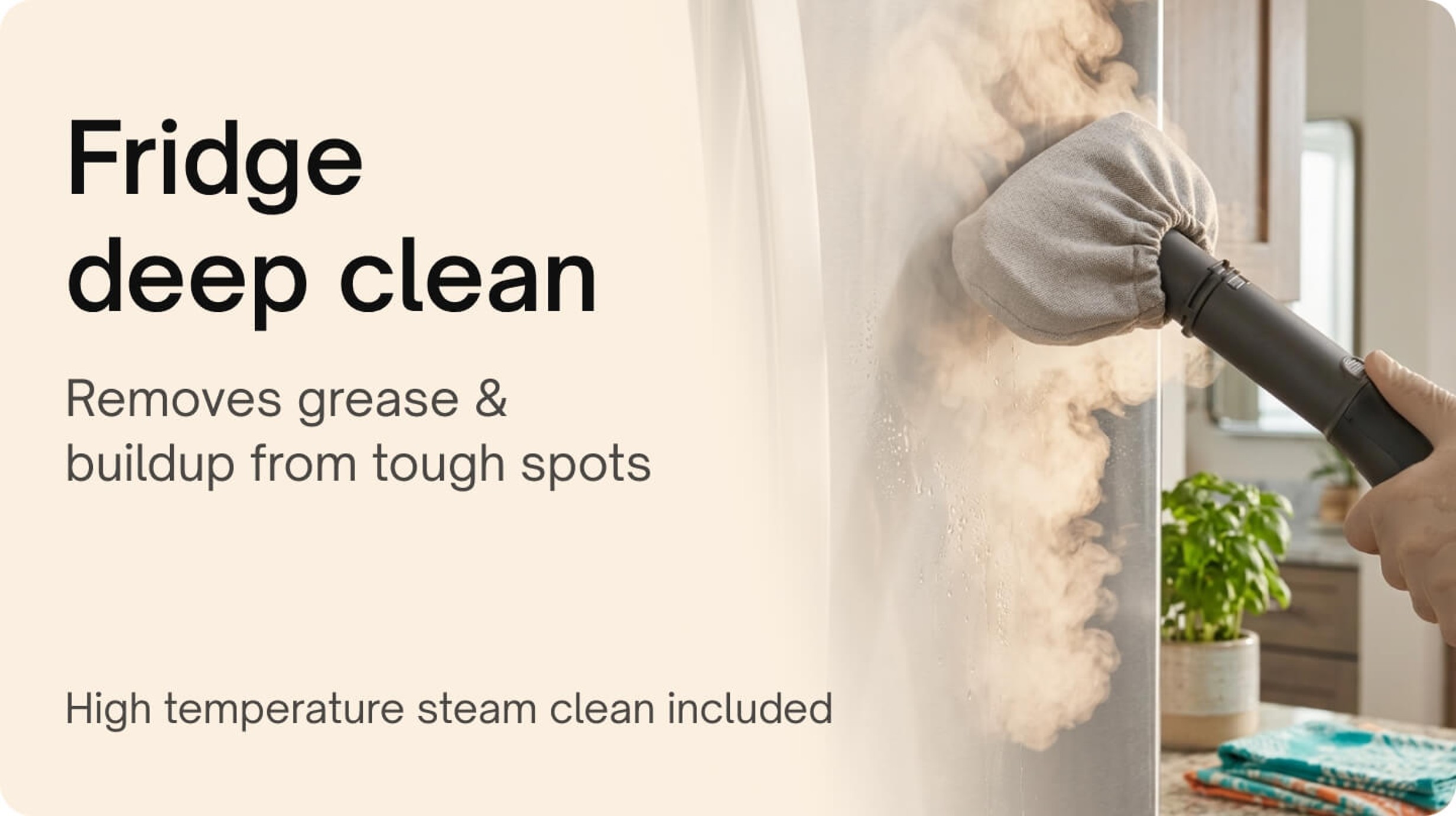 Appliance cleaning - Fridge Deep Cleaning