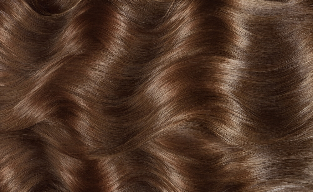 L'Oréal Excellence Creme - Dark Chestnut Brown (5.3)