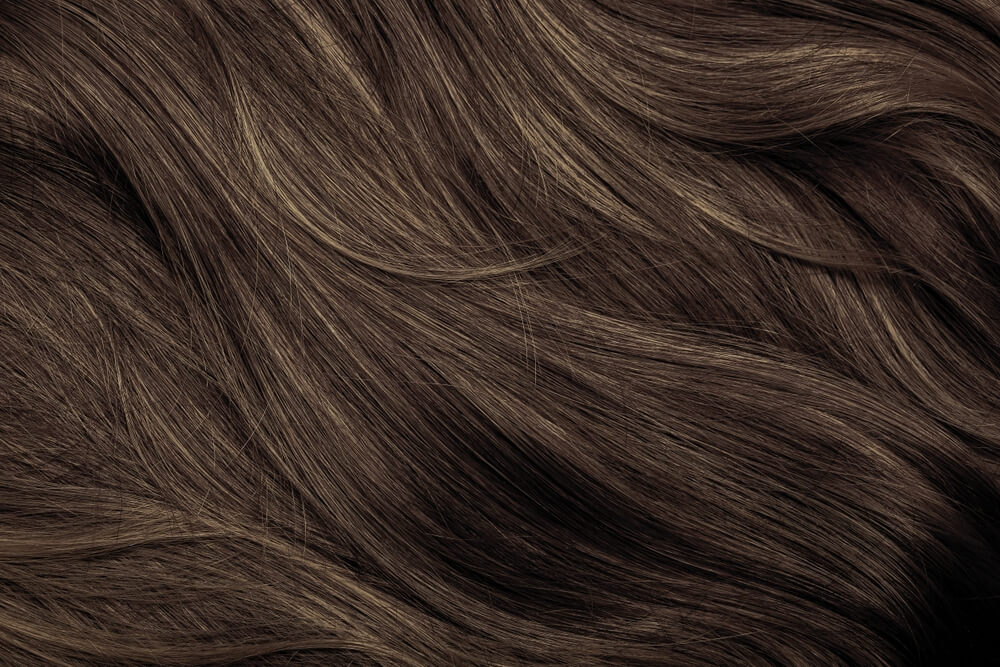 L'Oréal Excellence Creme - Ash Brown (6.1)