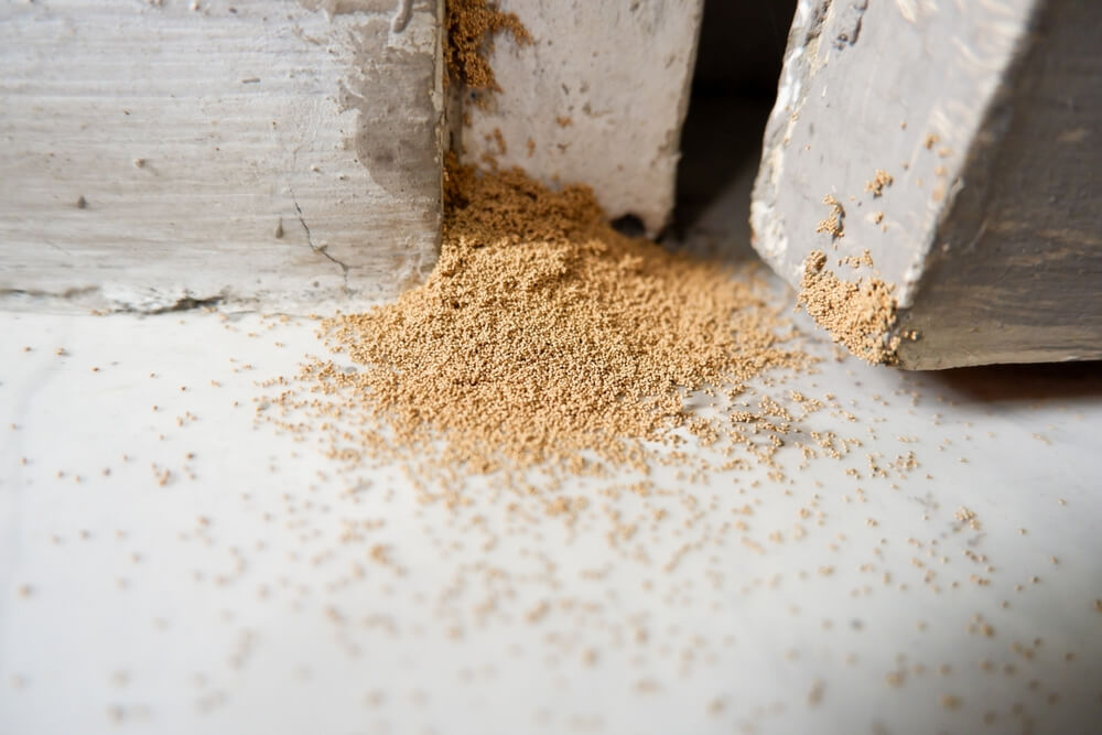 Termites are attracted to wood, so remove any wood debris or decaying wood from around your home.