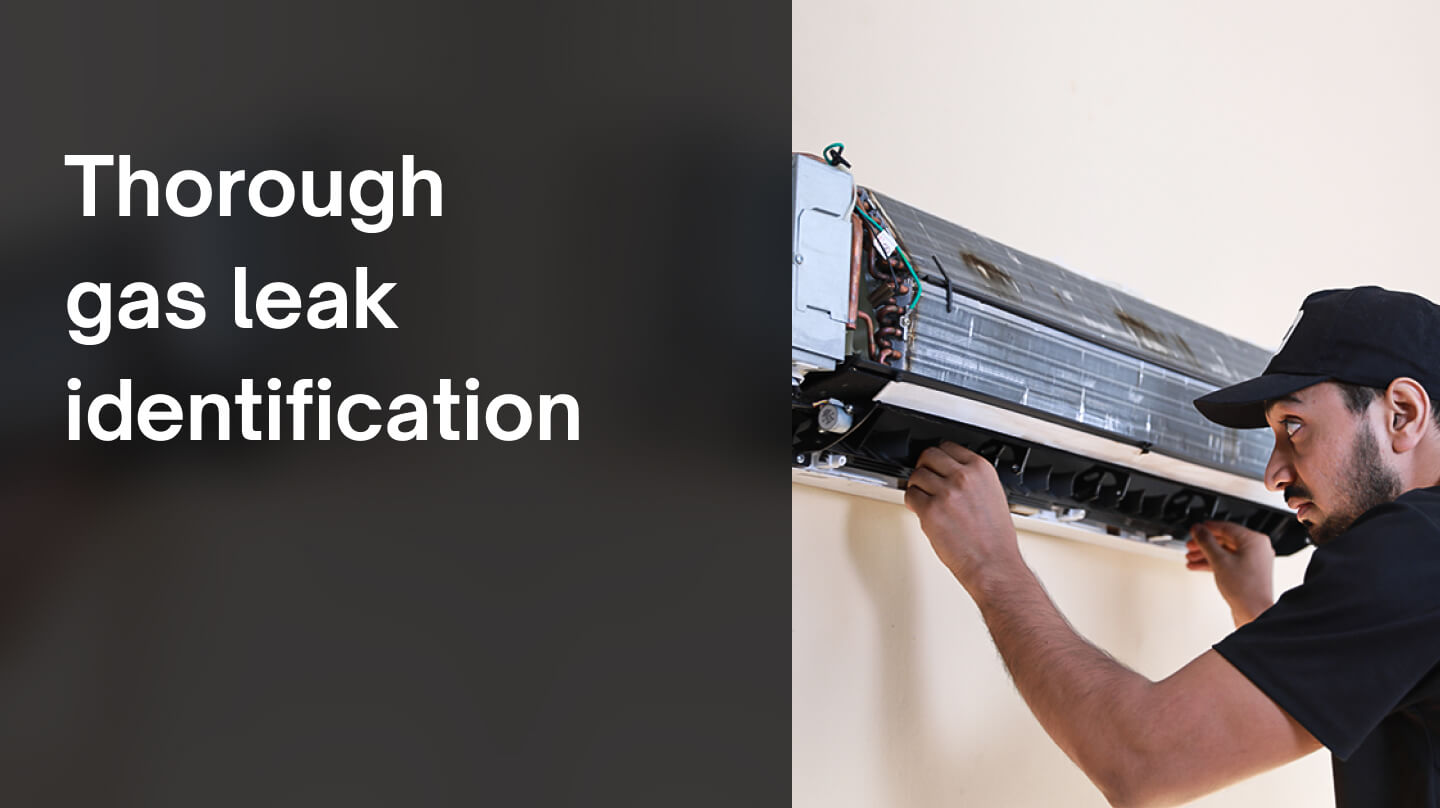 Gas Leak Identification