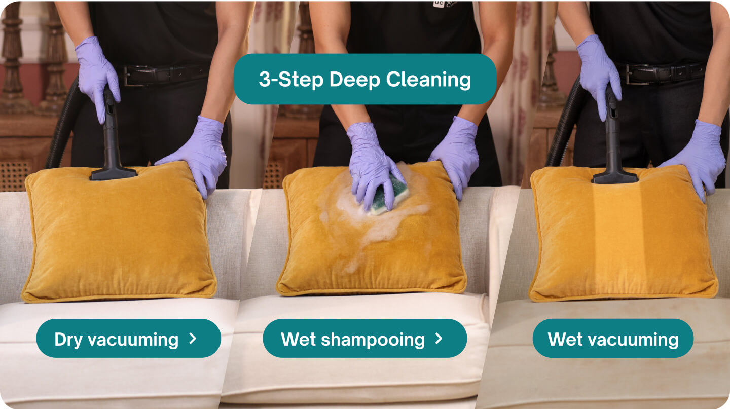 Chair, Cushion, Pillow - Cushion Cleaning