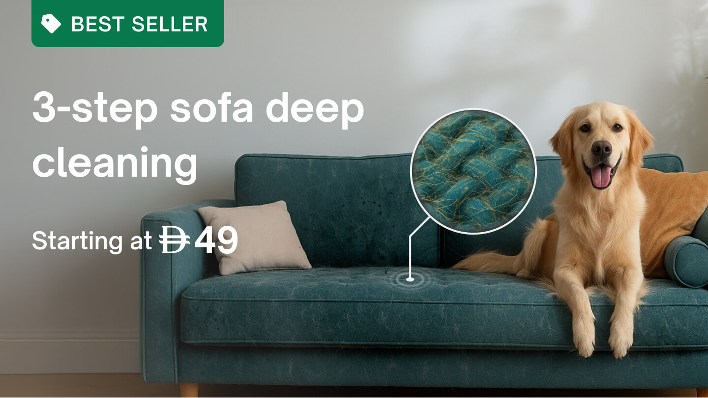Furniture - Sofa deep cleaning