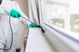 Cockroaches, Ants & General Pest Control - Offices