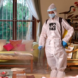 Home disinfection - Apartment