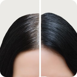 Packages - Haircut & color