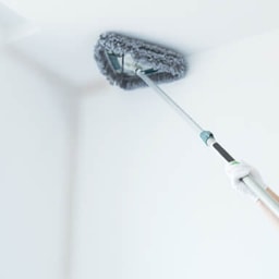 Mini services - Ceiling dusting & cobweb cleaning