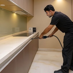 Kitchen/Bathroom - Pest control (no utensil removal)