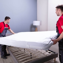 Apartment Moving - Studio Apartment