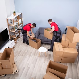 Apartment Moving - 1 BHK Apartment