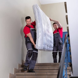 Villa Moving - 2 Bedroom Villa