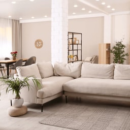 Furnished Villa - Villa deep cleaning intense