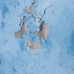 Waterproofing - Single patch waterproofing (with wall paint)