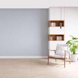 1BHK - 1BHK with ceiling