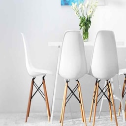 Chair, Cushion, Pillow - Chair cleaning