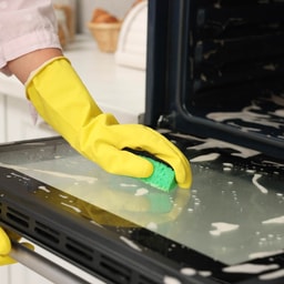 Appliance - Oven & stove deep cleaning