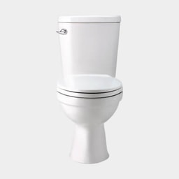 Toilet - Western toilet replacement