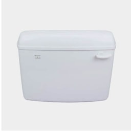 Toilet - Flush tank replacement
