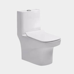 Toilet - Western toilet repair (floor mounted)