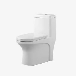 Toilet - Western toilet repair (floor-mounted)