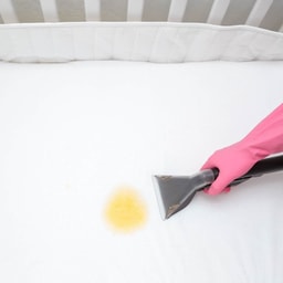 Mattress - Crib Mattress