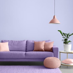 Color painting - Apartment