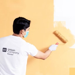 Painting & touch-up - Full wall painting