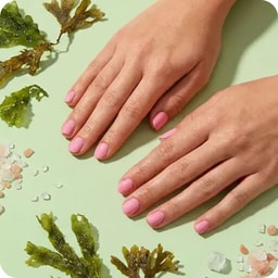 Pedicure & manicure - AVL sea-algae manicure