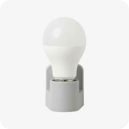 Light - Bulb & Holder