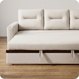 Sofa & carpet - Sofa cum bed