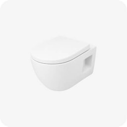Toilet - Western toilet repair (wall-mounted)