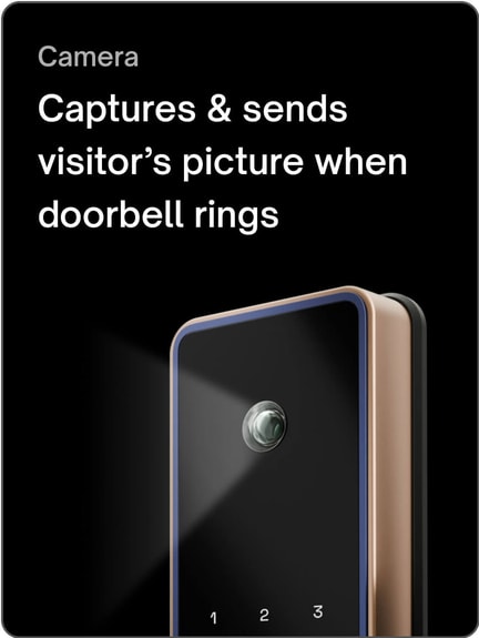 Urban Company Banner 1