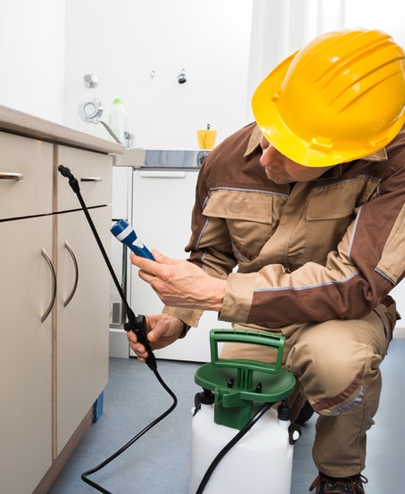 Pest Control Services in Abu Dhabi: Experts in Cockroach, Mosquito, Bed Bug Treatment, and More