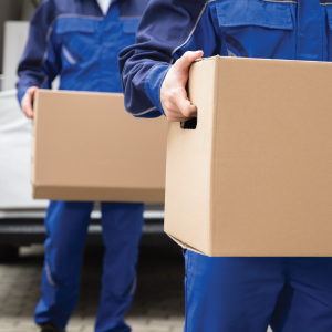 Packers & Movers in Sharjah