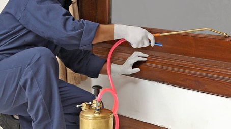 Flies, Mosquito & Rodent in Dubai