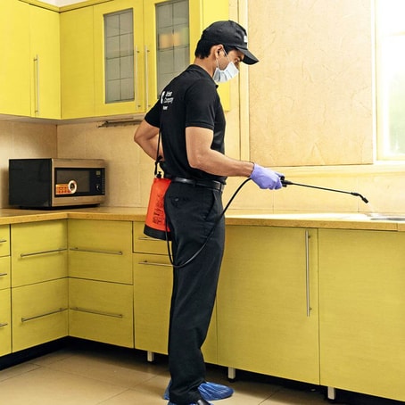 Pest Control Services in Dubai: Experts in Cockroach, Mosquito, Bed Bug Treatment, and More