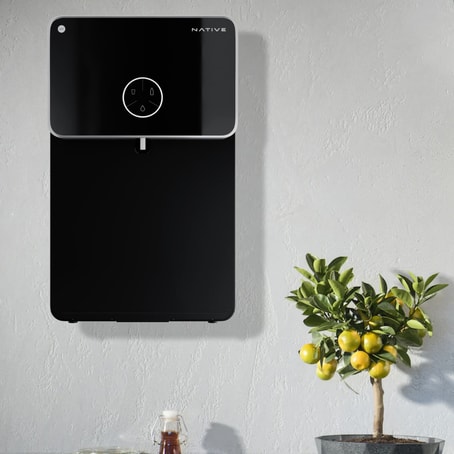 Native Water Purifier in Agra, India